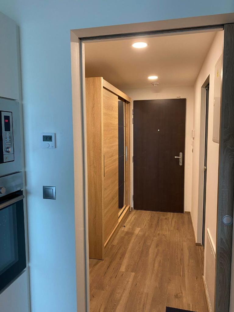 Апартаменты (Апартаменты с балконом), Apartment David O2 Arena Prague