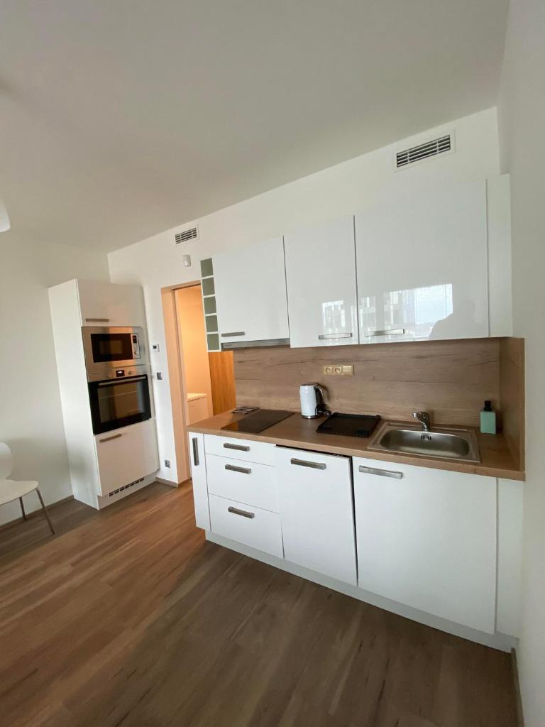 Апартаменты (Апартаменты с балконом), Apartment David O2 Arena Prague
