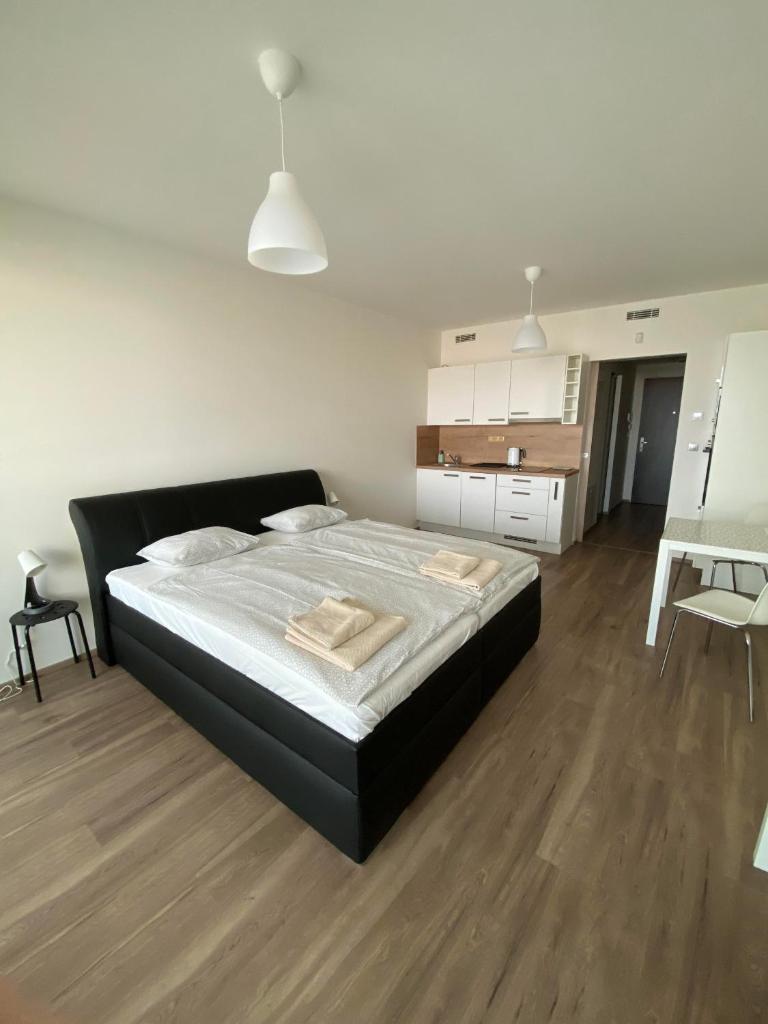 Апартаменты (Апартаменты с балконом), Apartment David O2 Arena Prague