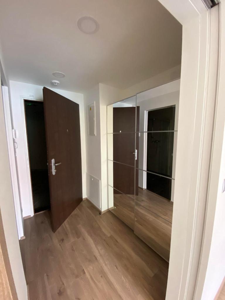 Апартаменты (Апартаменты с балконом), Apartment David O2 Arena Prague