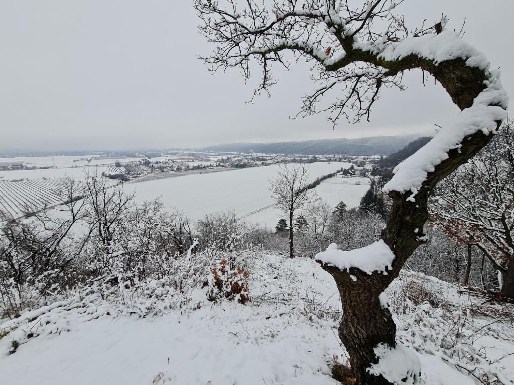 Ferienwohnungen an der Bosel photo 1