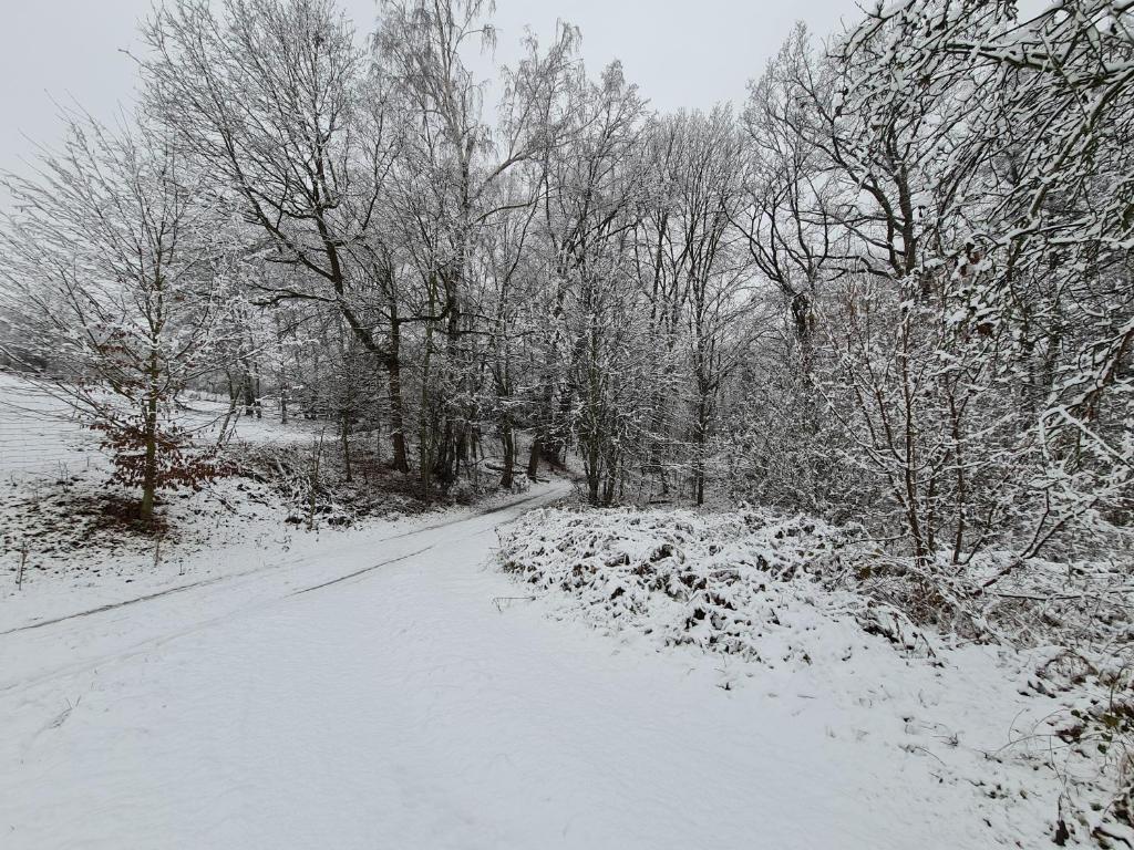 Ferienwohnungen an der Bosel photo 3
