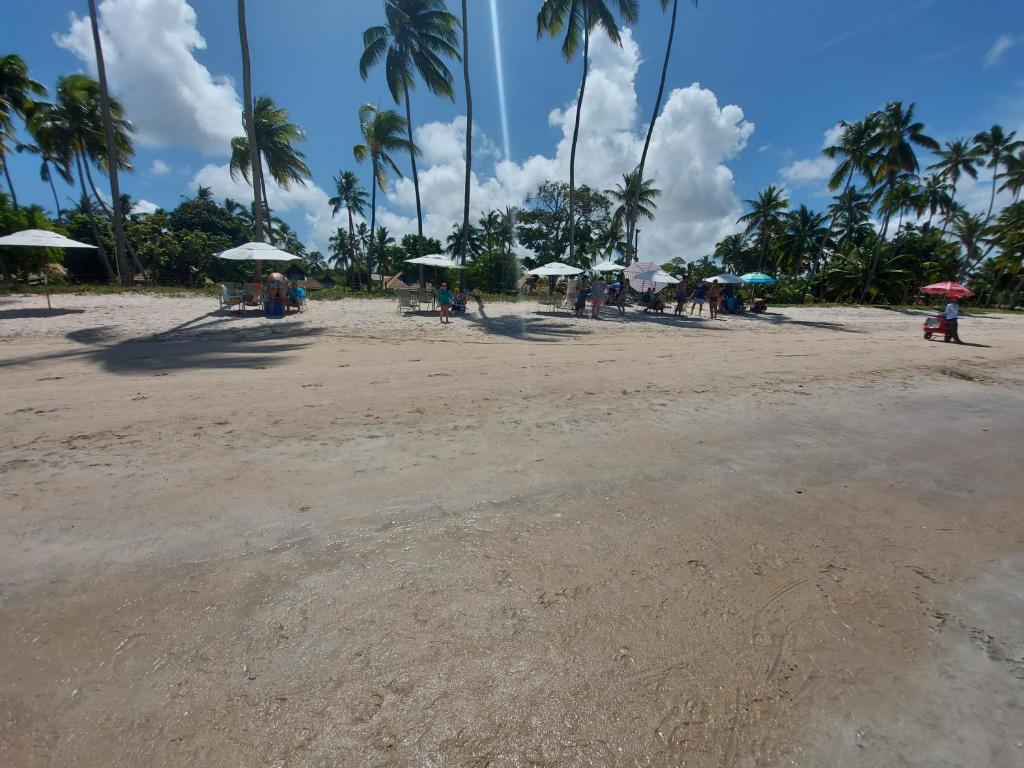 Ecoresort flat EM223 e EM26 photo 3