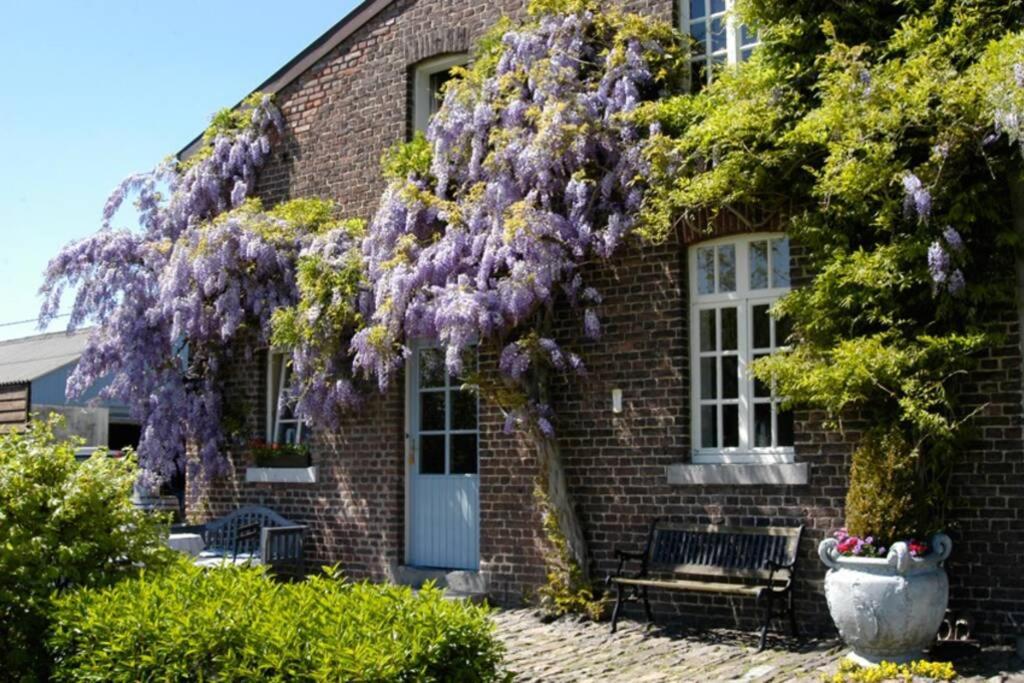 Hoeve Espewey Cottage photo 1