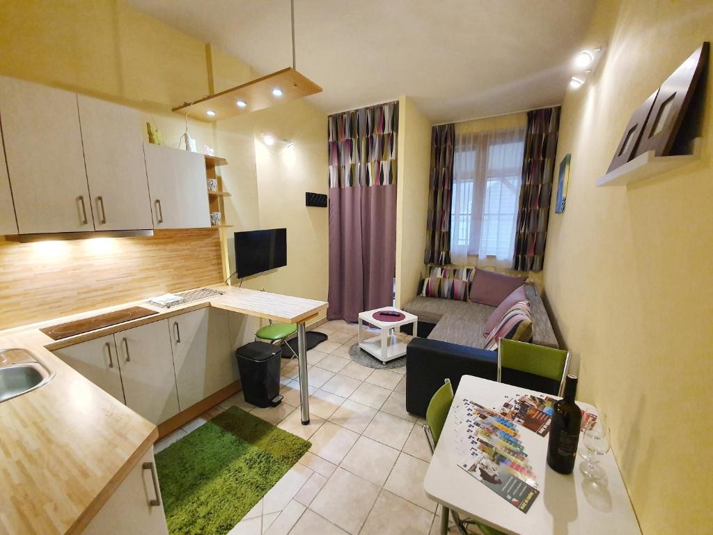 Apartmán 466 photo 3