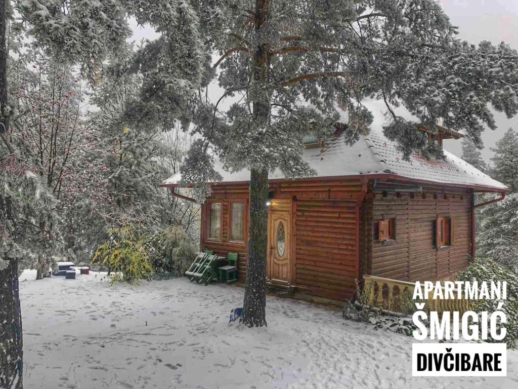 Apartmani Smigic Divcibare photo 1