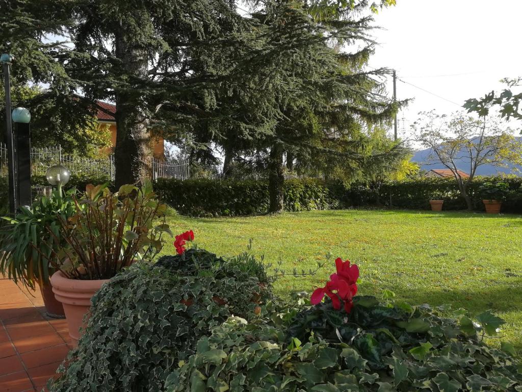 Independent apartment with a fabulous patio - Casa Penny photo 1
