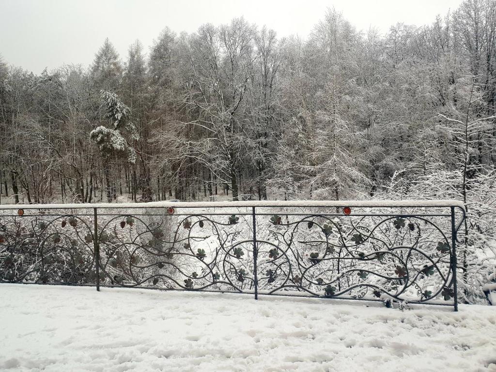 Winnica Dębogóra photo 2