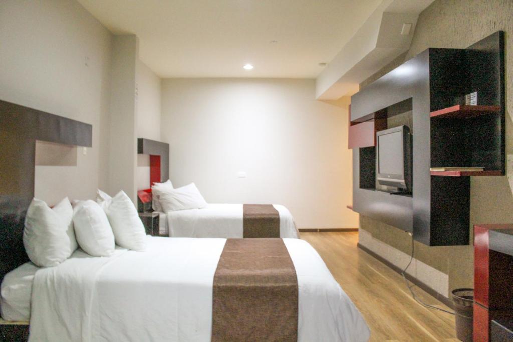 Hotel Cancalli Business & Suites photo 4