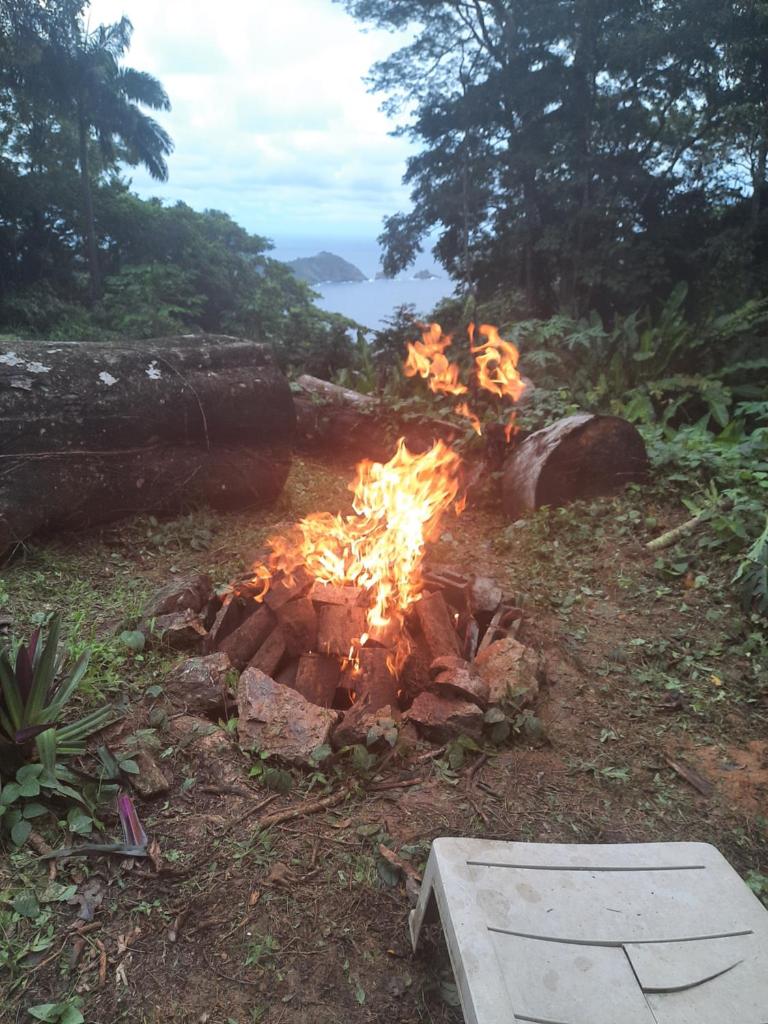 Tony's Offgrid Cabin Getaway photo 1