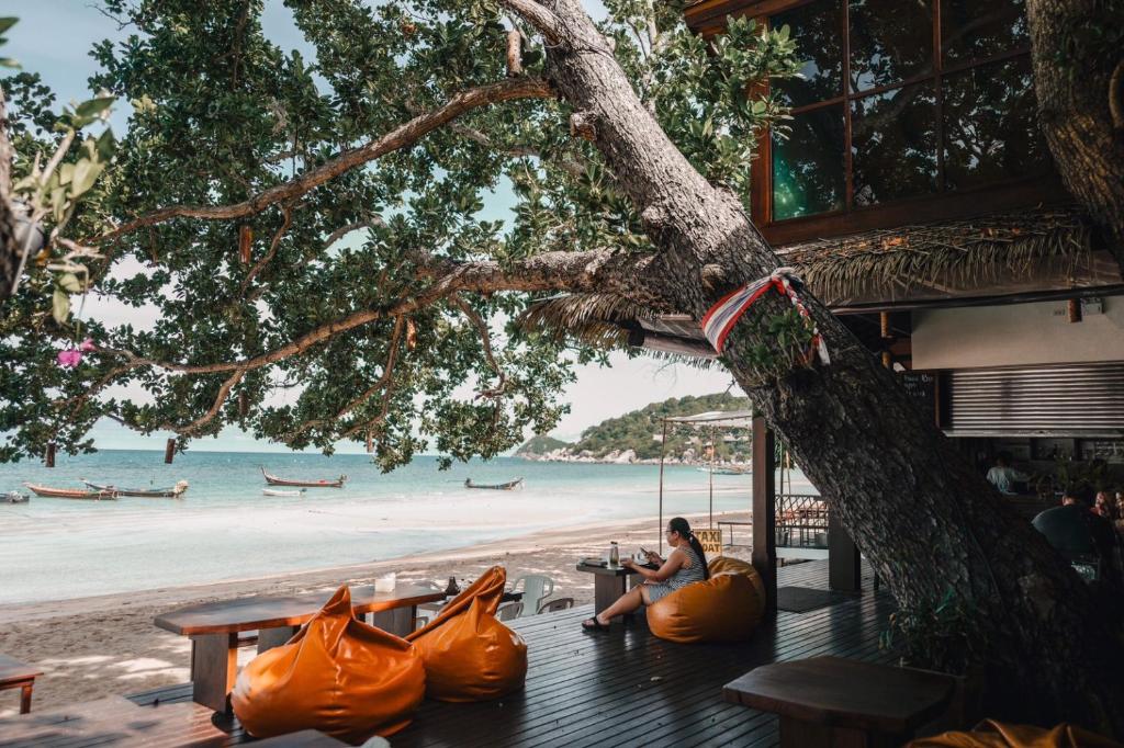 Sairee Hut Resort Koh Tao photo 3