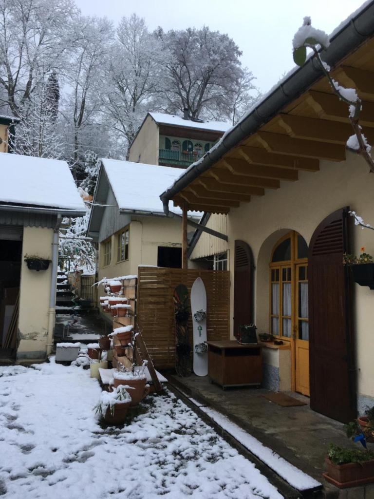 Charmant appartement sur cour, Le Berlingott photo 3