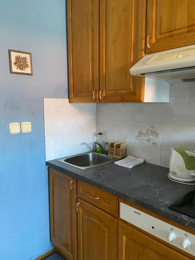 Apartments Vidmar near Bled - Adults only photo 4