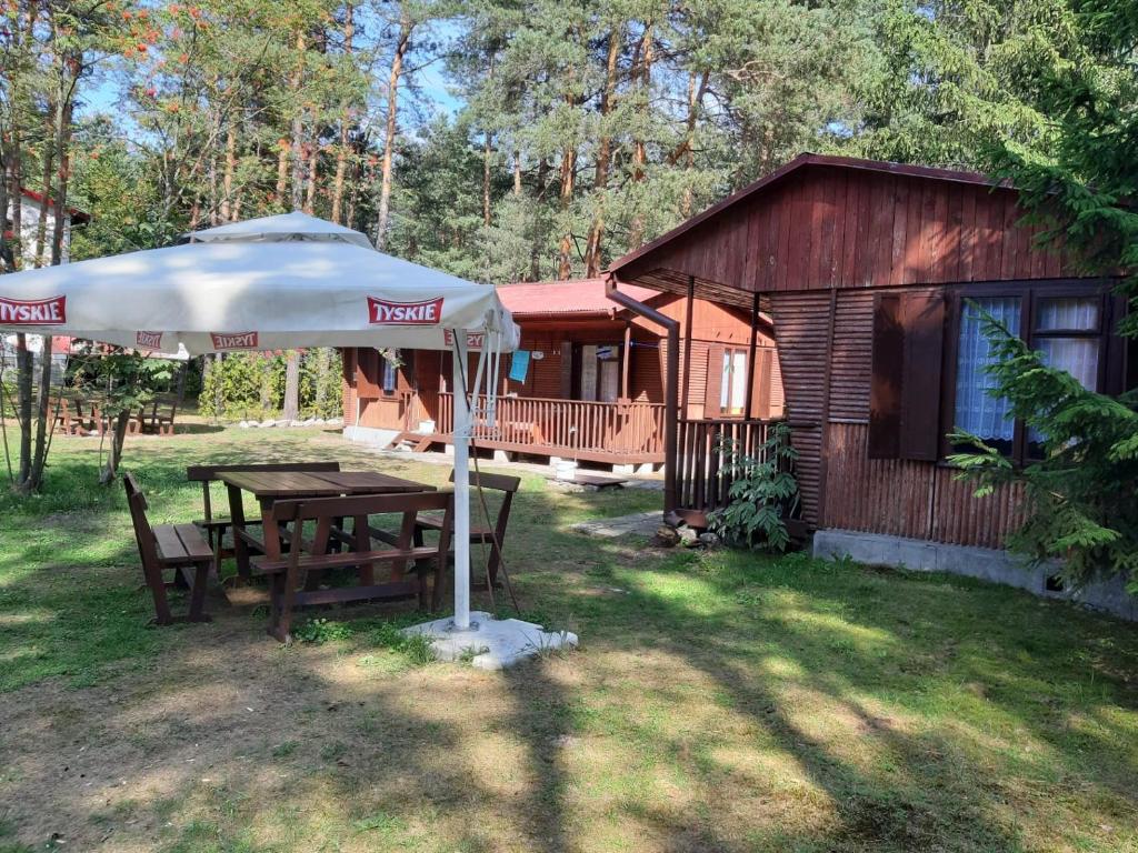 Forest Villa- domki photo 2