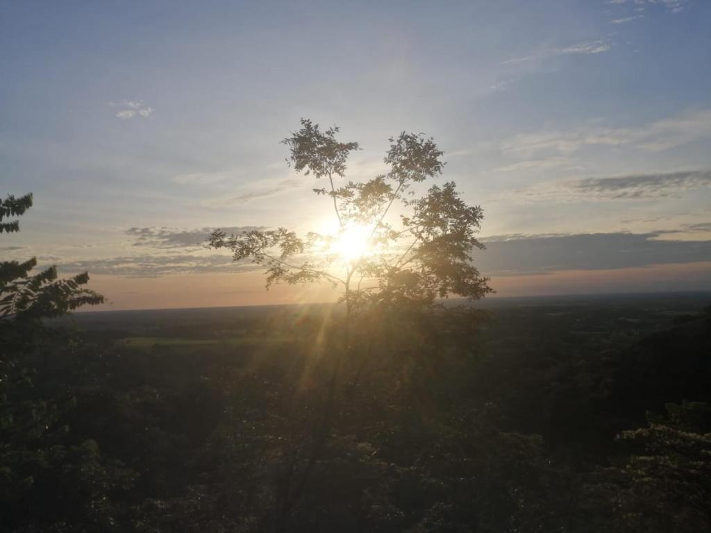 Hospedaje Rural Amanecer Llanero photo 3