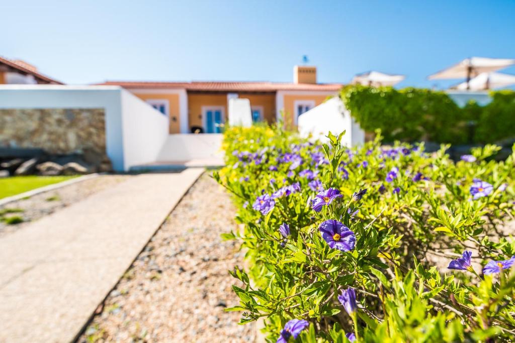Monte do Giestal - Casas de Campo & Spa photo 4
