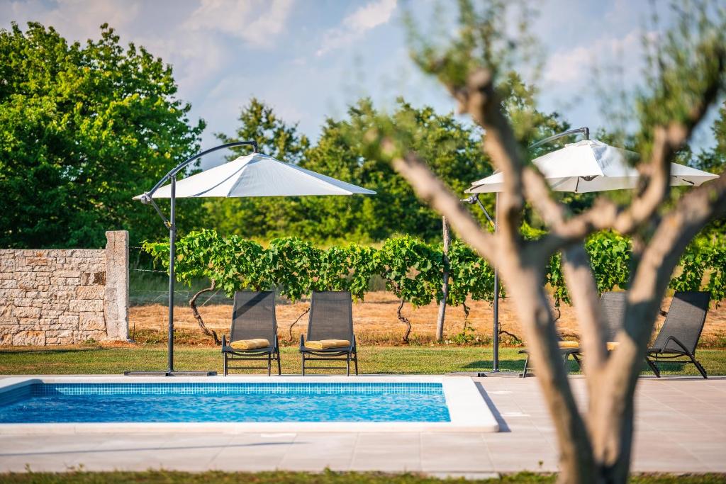 Spacious New design Villa Vitis Vitae, private pool ,1400m2 garden , Central Istria photo 4