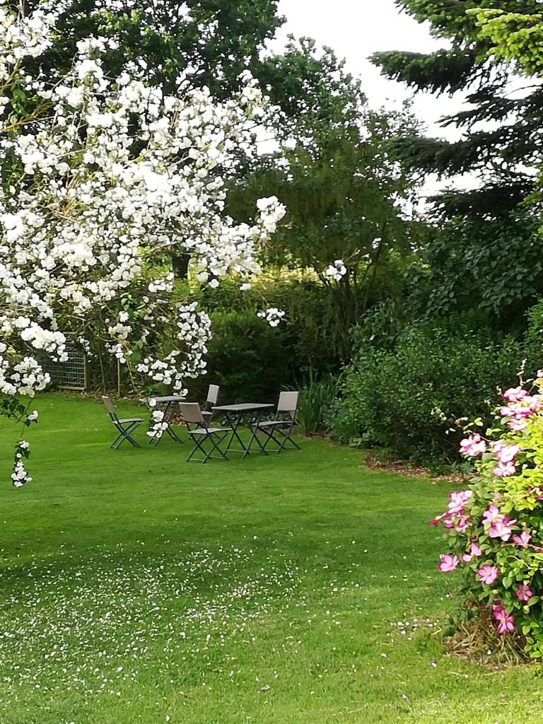 Grambo Bed & Breakfast photo 2
