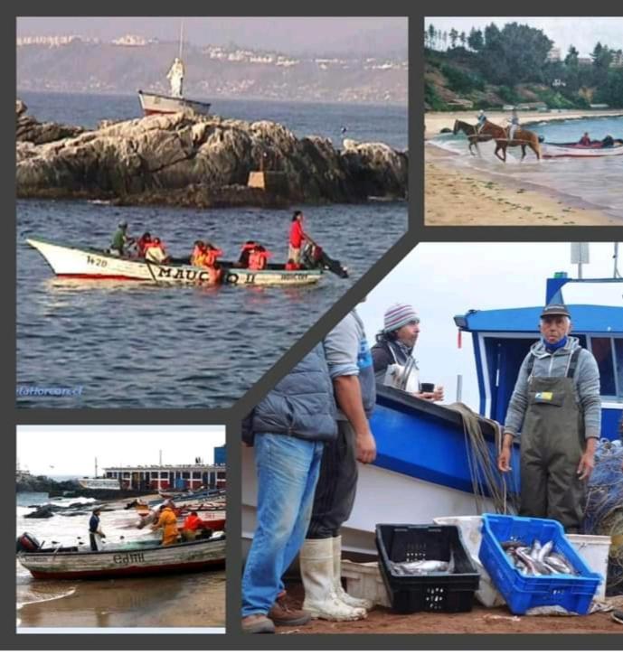 "ERyMAR" CASA PARA FAMILIAS A PASOS DE CALETA HORCON photo 1