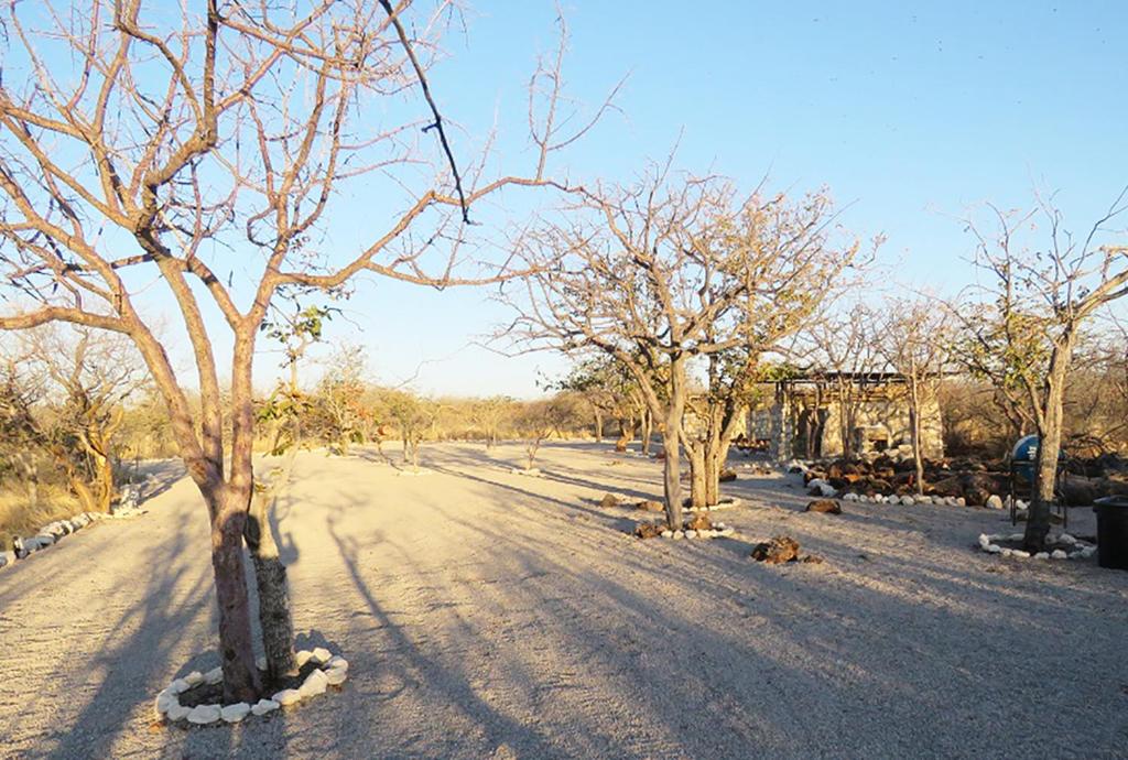 Etosha Village Campsite photo 3