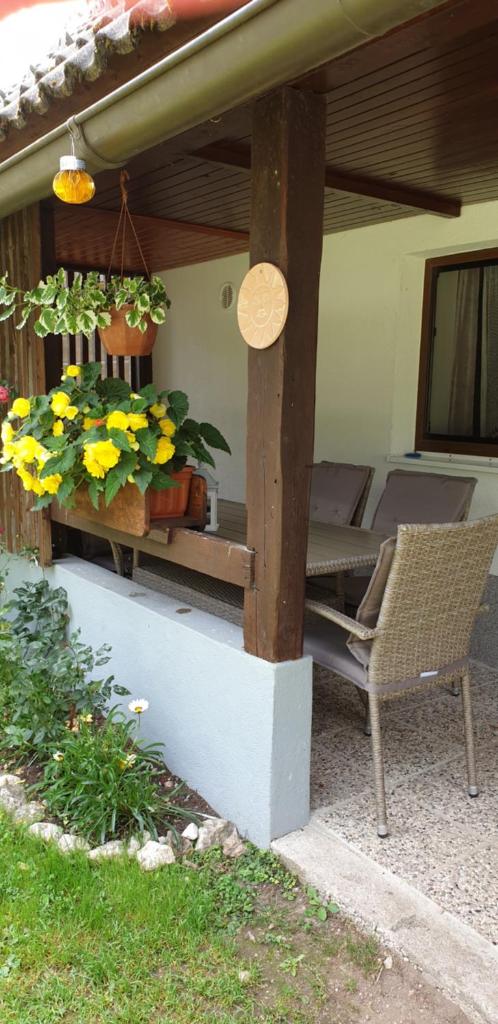 Apartment Sonce photo 4