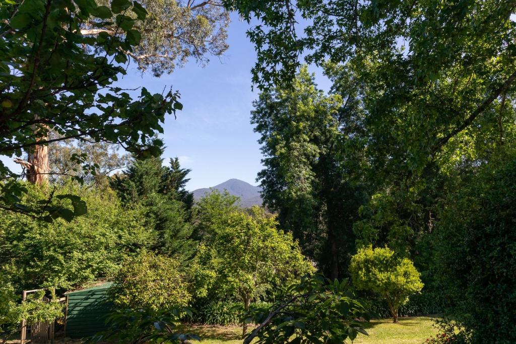 Mi Casa - Healesville photo 1