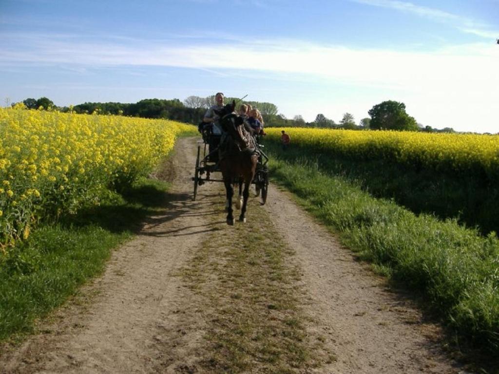 Ferienhof Rustemeier photo 3