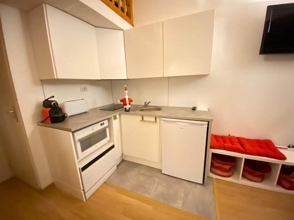 RED APPLE CARROZ Duplex de charme WIFI Parking Balcon TV Ski-Bus photo 2