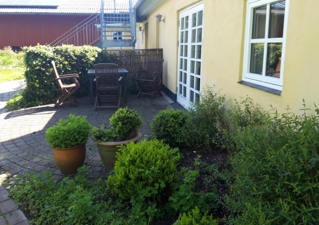 Skovboferie Apartments BB photo 3