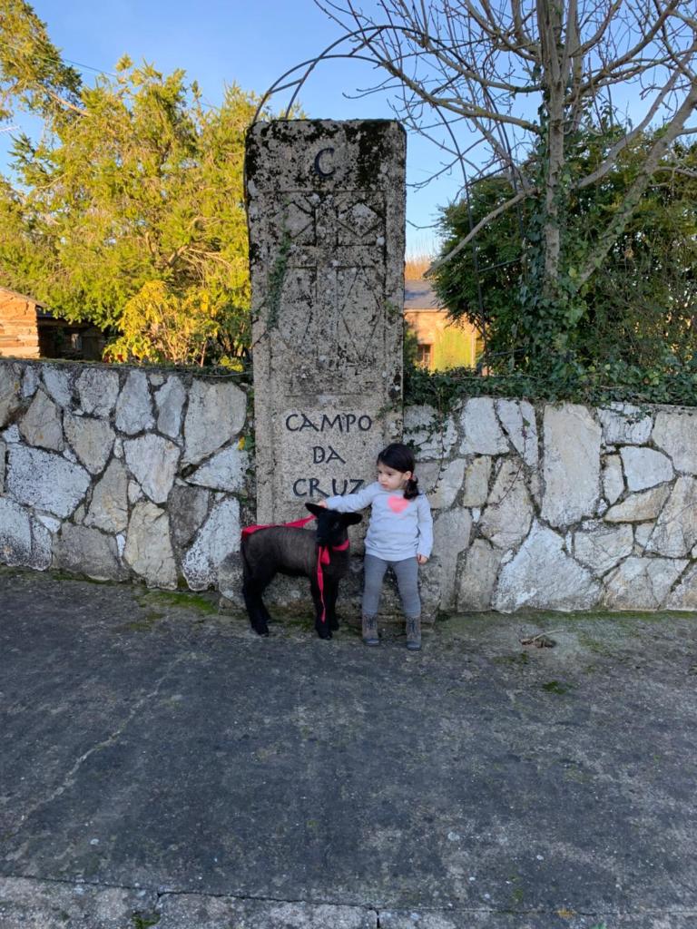 Cabaña - A Pastoriza - Lugo photo 4
