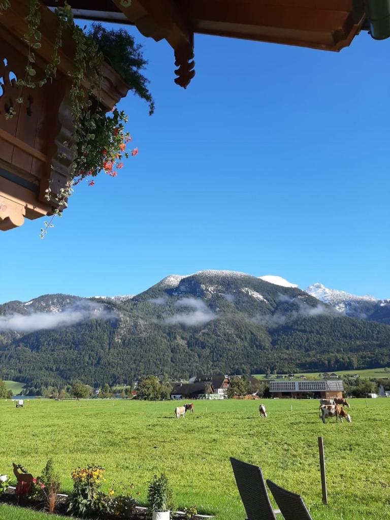Haus Heimatblick photo 1