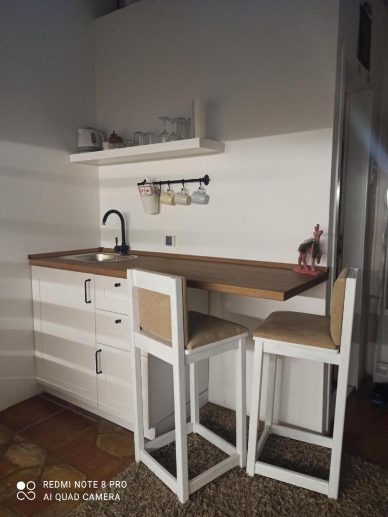 Apartments Carica photo 1