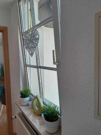 Ferienwohnung Salzmannhaus photo 4