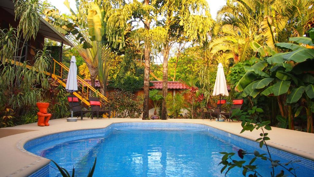 Samara Palm Lodge photo 2