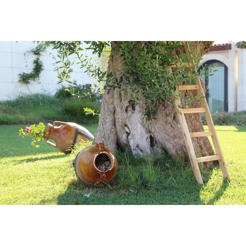 Masseria Stali, The Originals Relais photo 1
