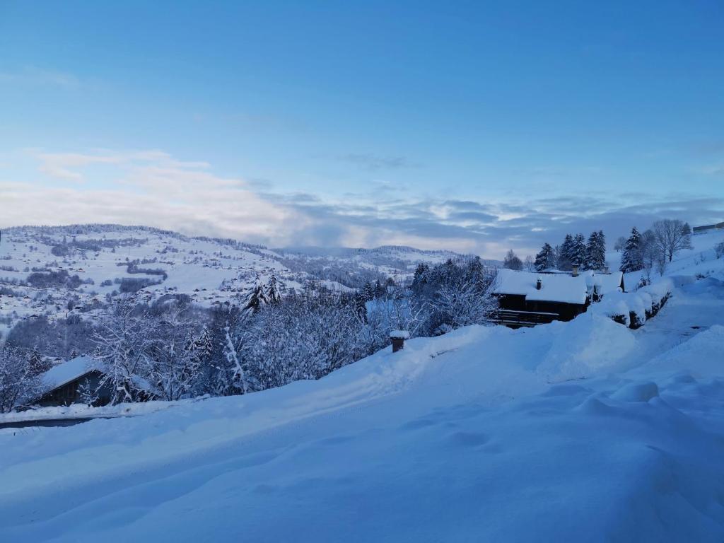 Le chalet du Brabant à 200 mètres des pistes photo 1