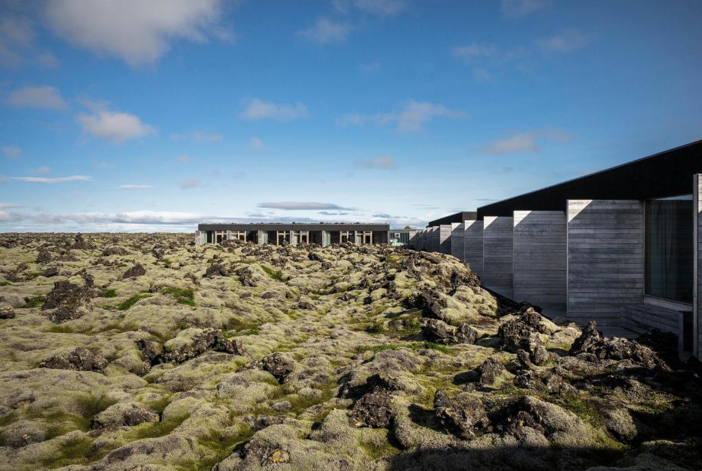 Silica Hotel at Blue Lagoon Iceland photo 4