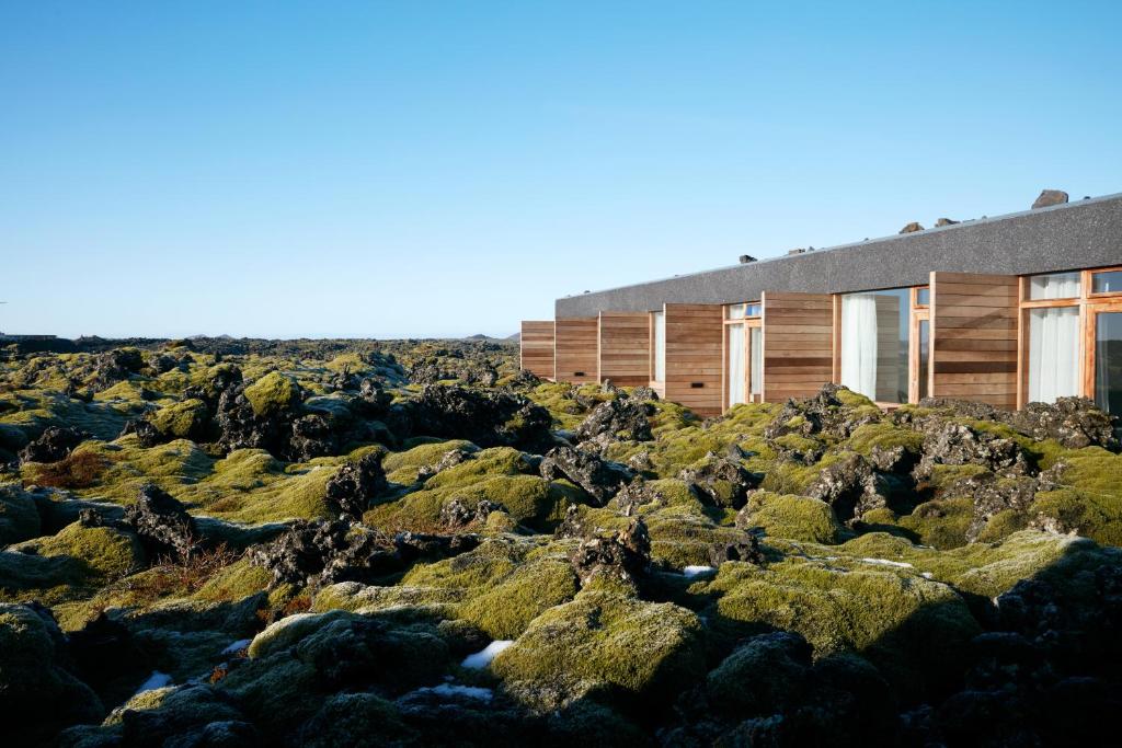 Silica Hotel at Blue Lagoon Iceland photo 1