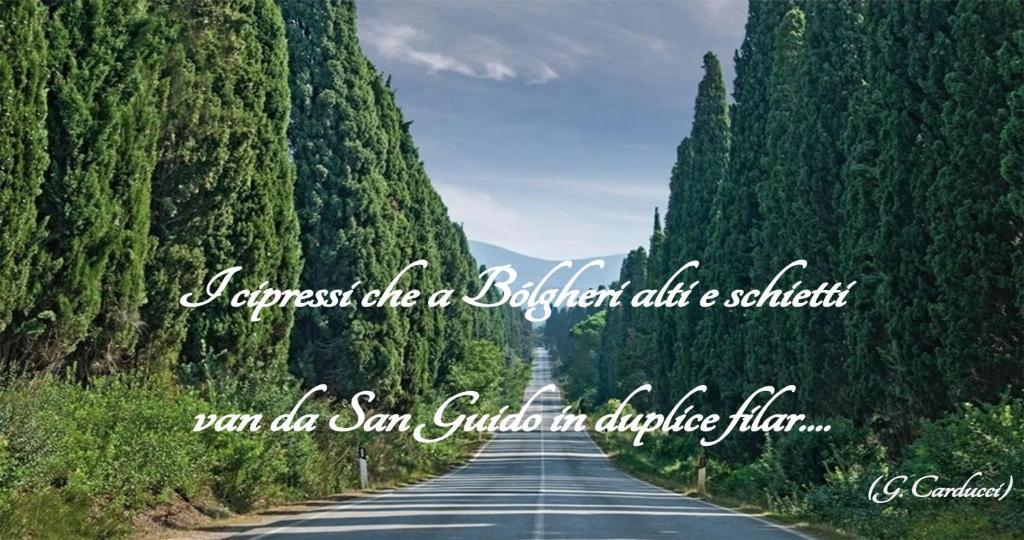 Casa Vacanza Francesca #10