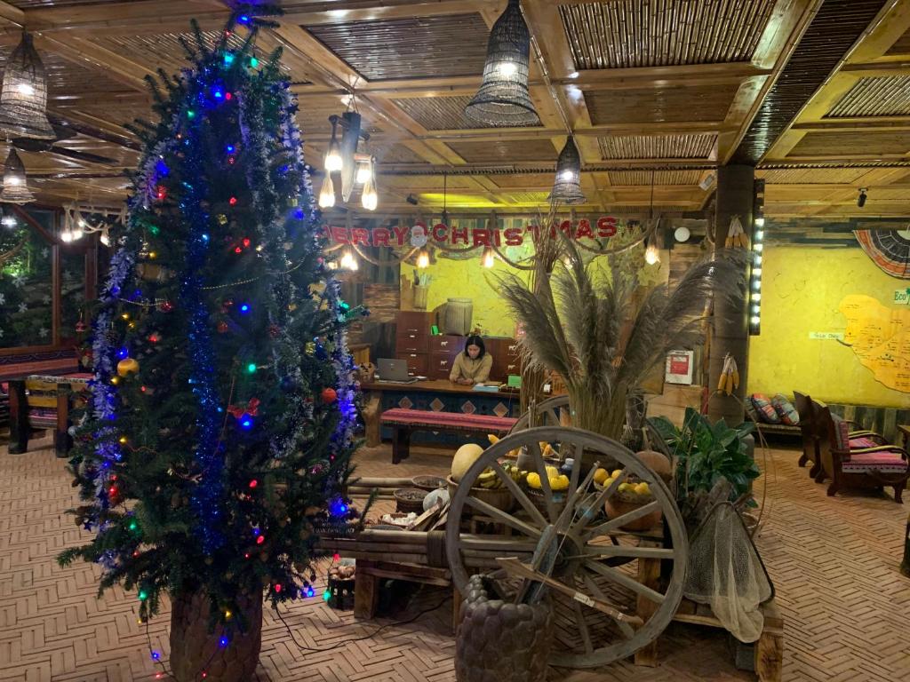 Eco Palms House - Mountain Retreat