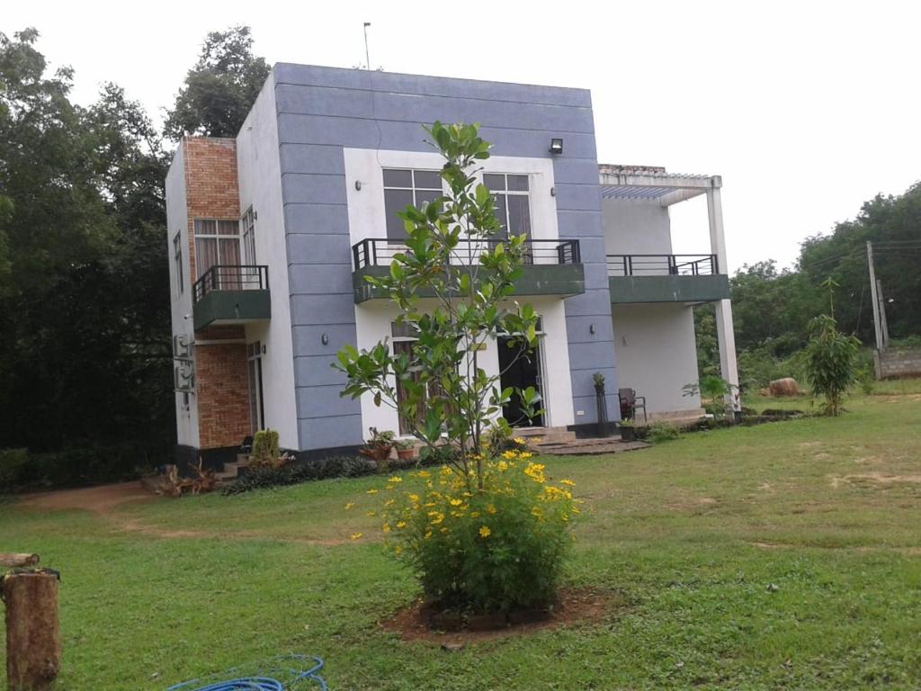 Peacock Resort photo 4