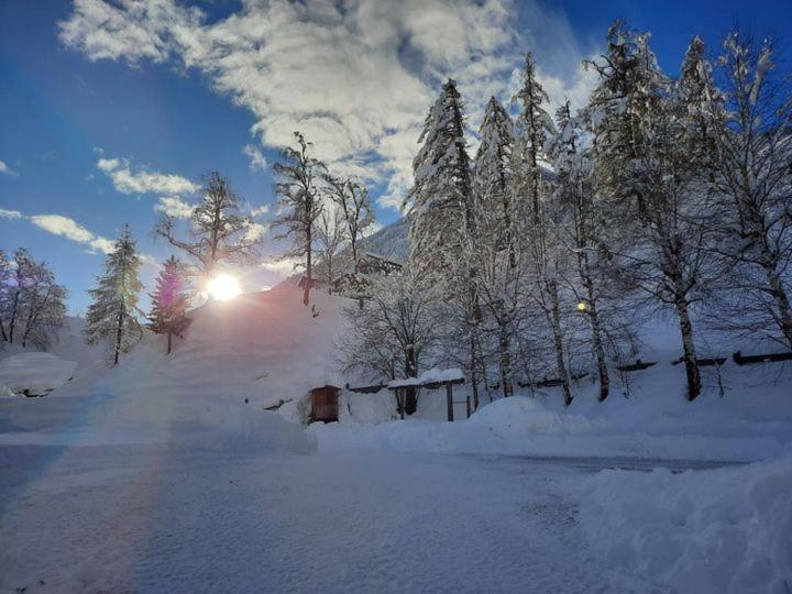 Gästeheim Pötscher photo 3