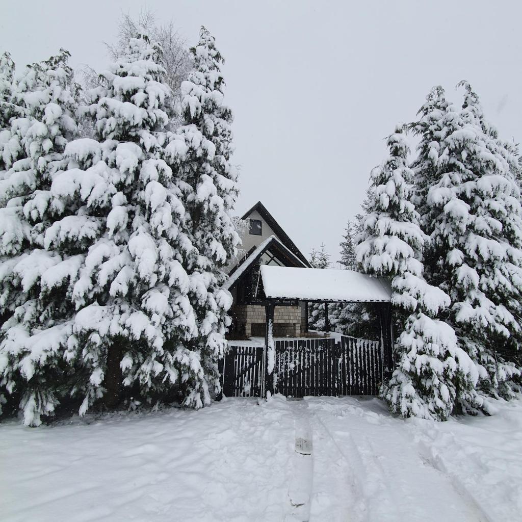 Planinska kuća sa dvorištem photo 4