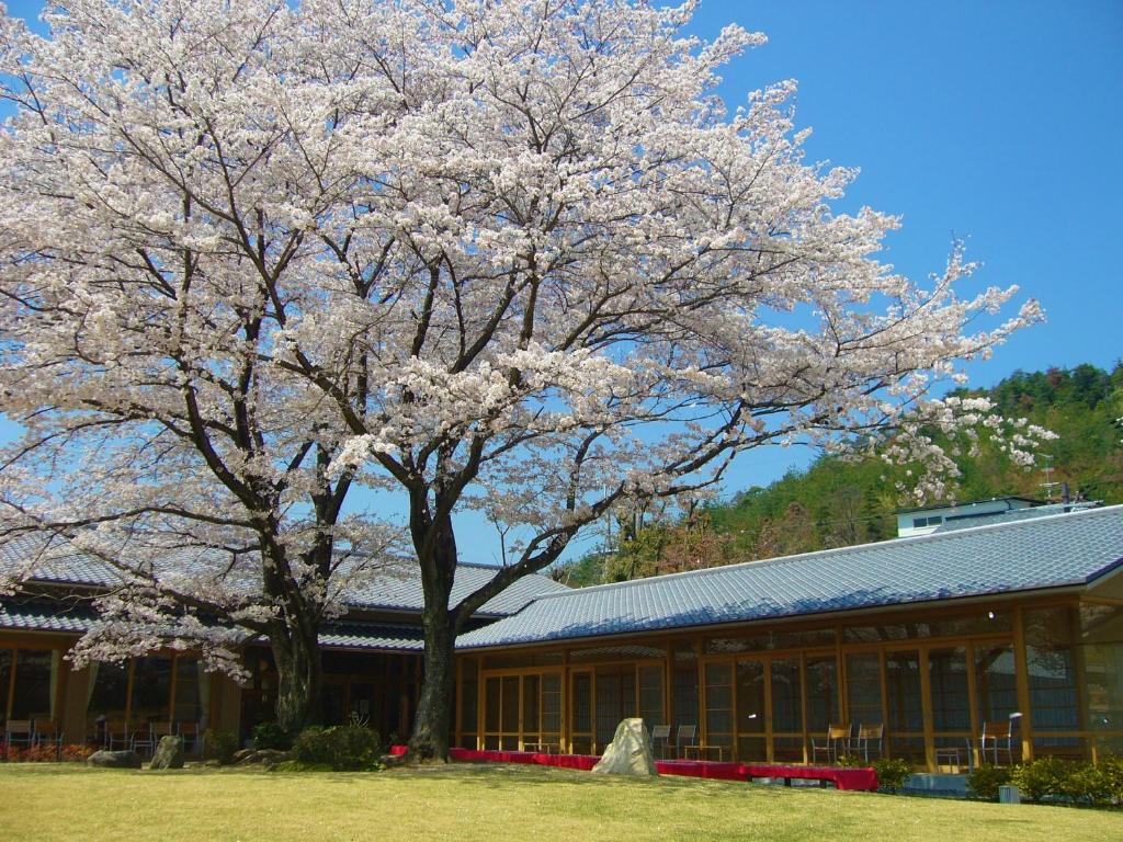 Kyoto Utano Youth Hostel photo 3