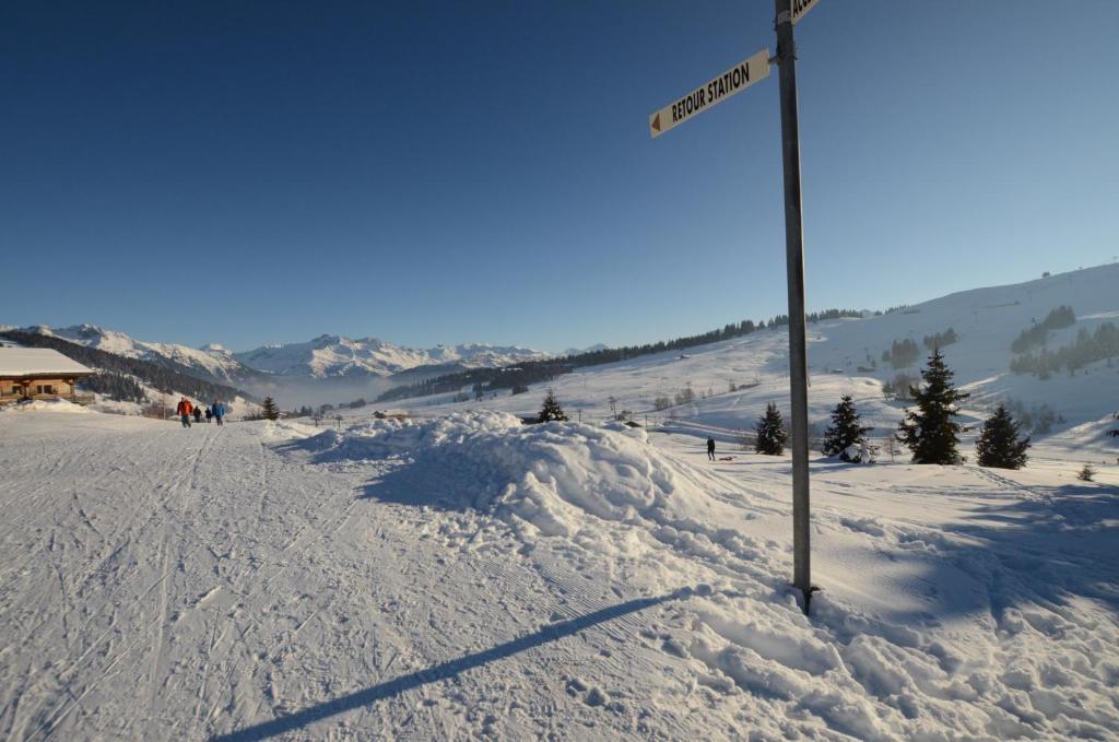 Chalet A, Village des Lapons Les Saisies, 3 chambres et 1 espace nuit mezzanine photo 1