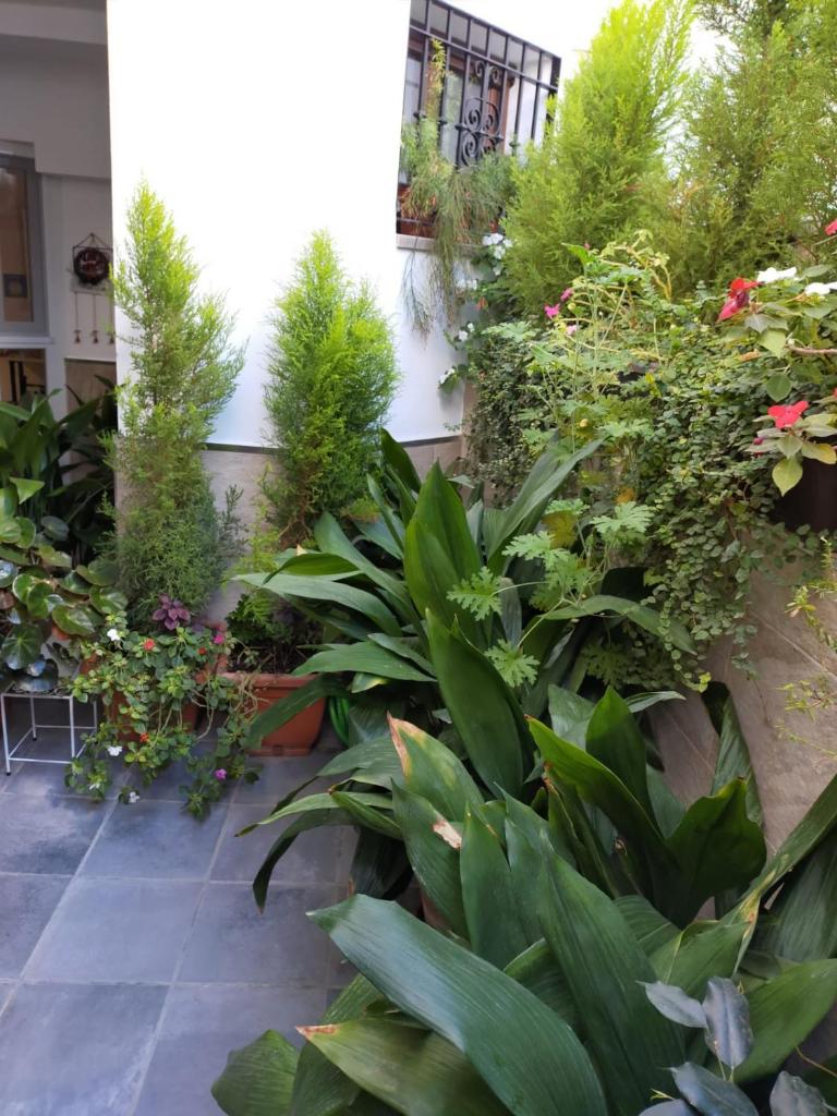 Casabobastro photo 2