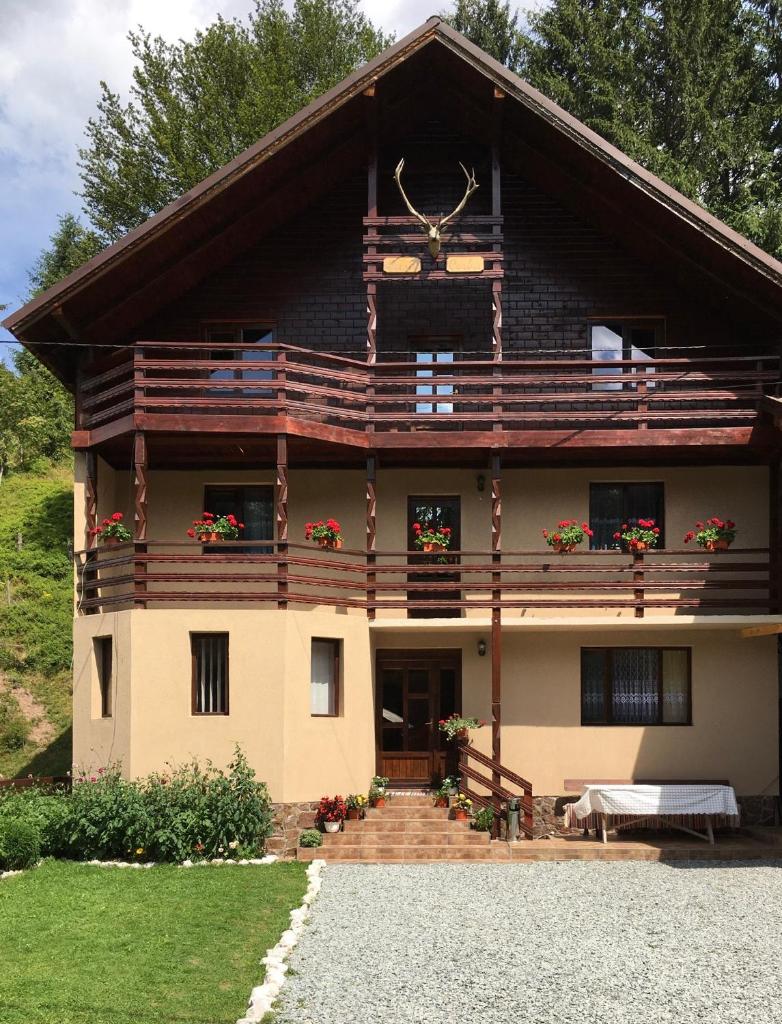 Casa Cerbu photo 1