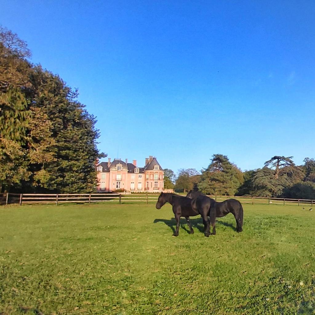Château de Chantore photo 2