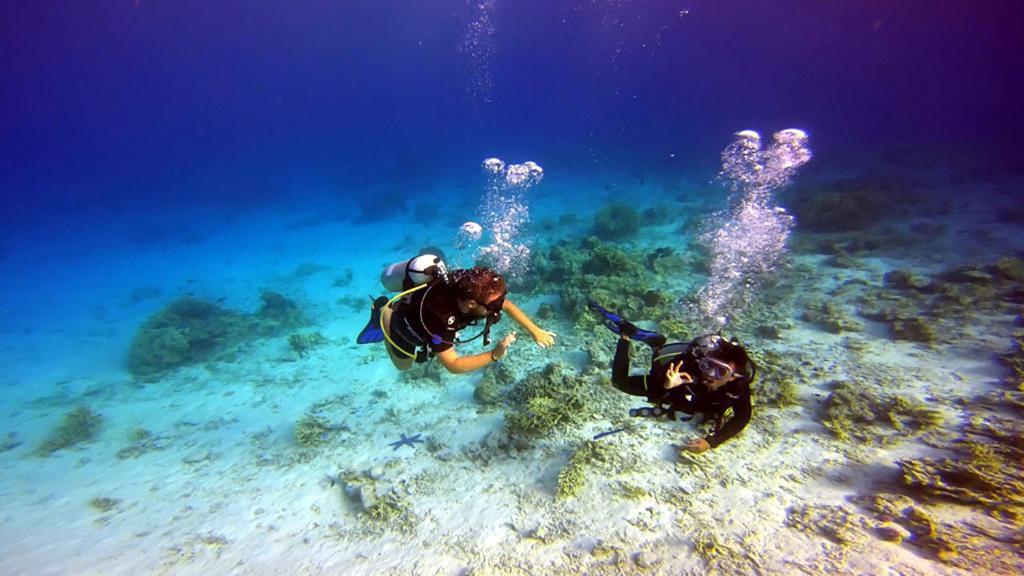 Maleo Moyo Hotel & Dive Resort photo 4