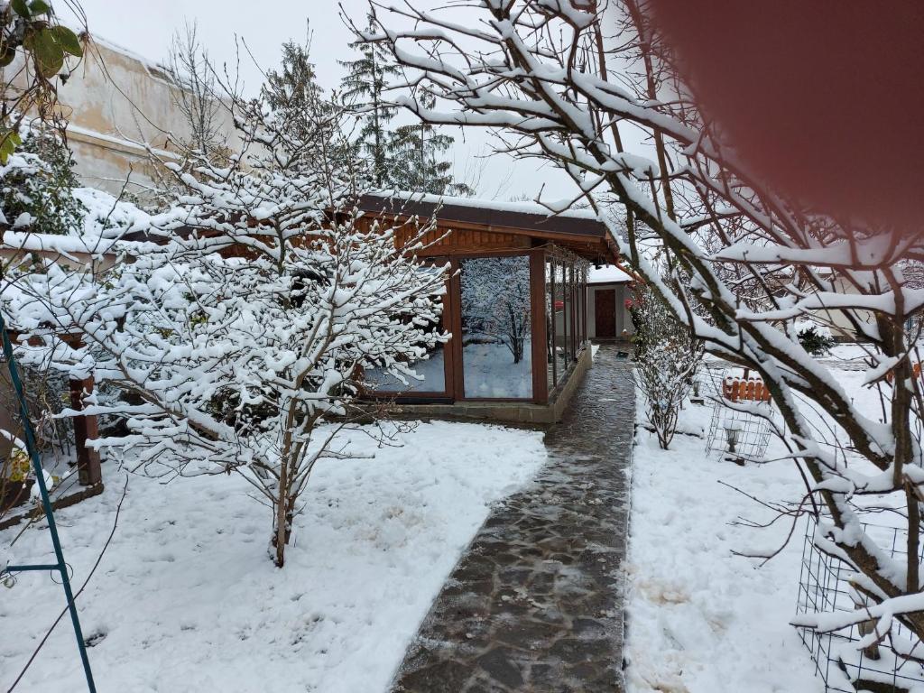 Casa Mara photo 3